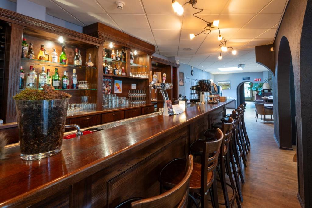 Lounge nebo bar v ubytování Veluwe Hotel Stakenberg