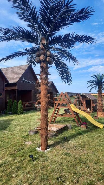 a palm tree in a yard with a slide at Dolina Rusinowa in Rusinowo