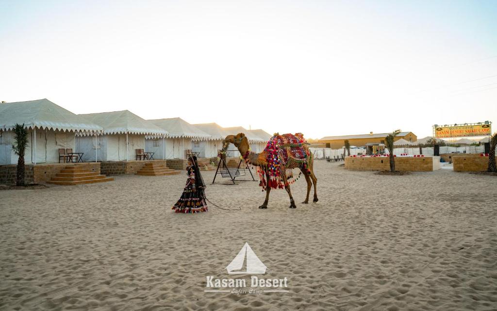 Hosté ubytování Kasam Desert Safari Camp
