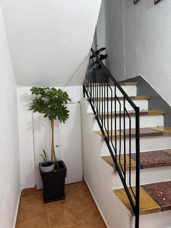 Fotografie z fotogalerie ubytování Te Ajdini Guesthouse v destinaci Gjirokastër