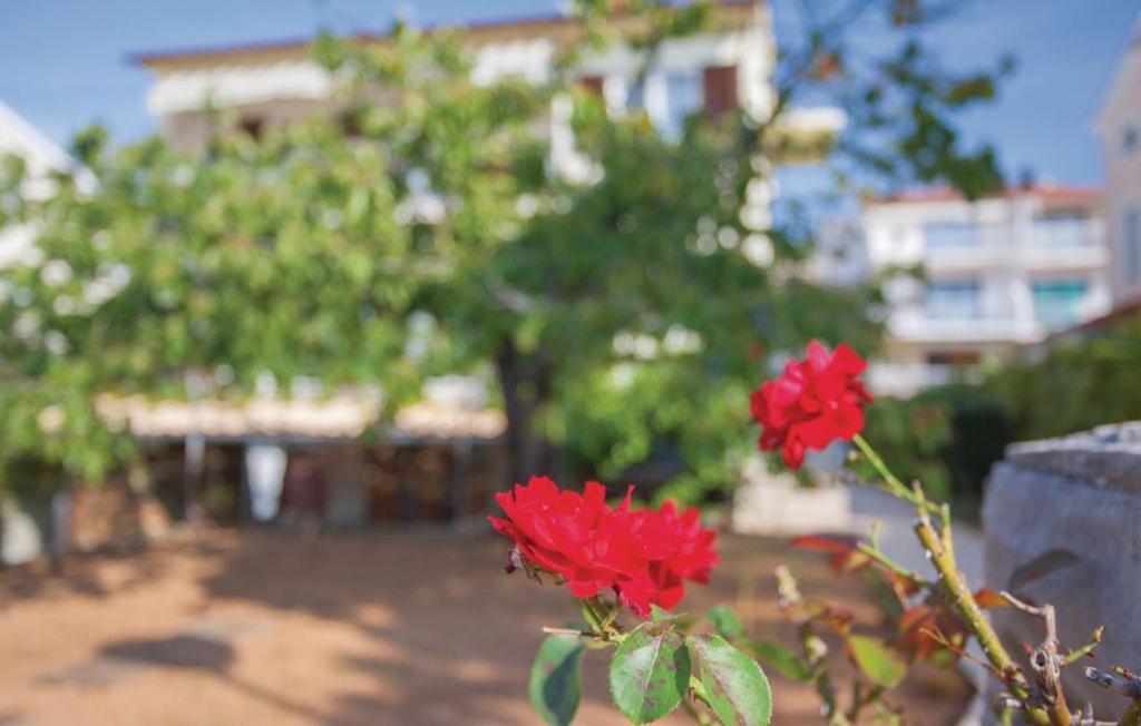 Zahrada ubytování Apartments Nikola
