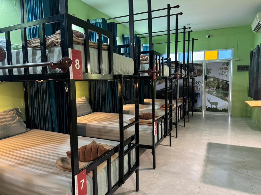 fila de literas en una habitación compartida en Khao Sok Jungle Hostel, en Khao Sok
