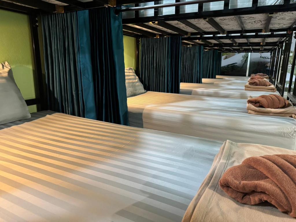 Khao Sok Jungle Hostel - 1