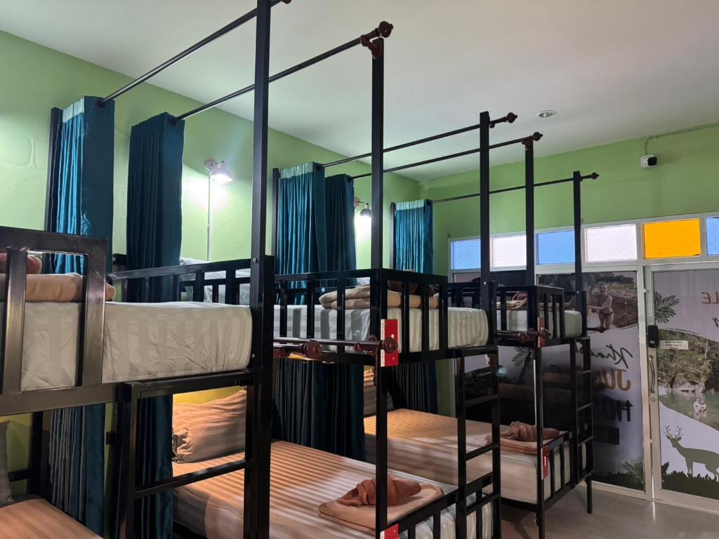 Khao Sok Jungle Hostel - 16