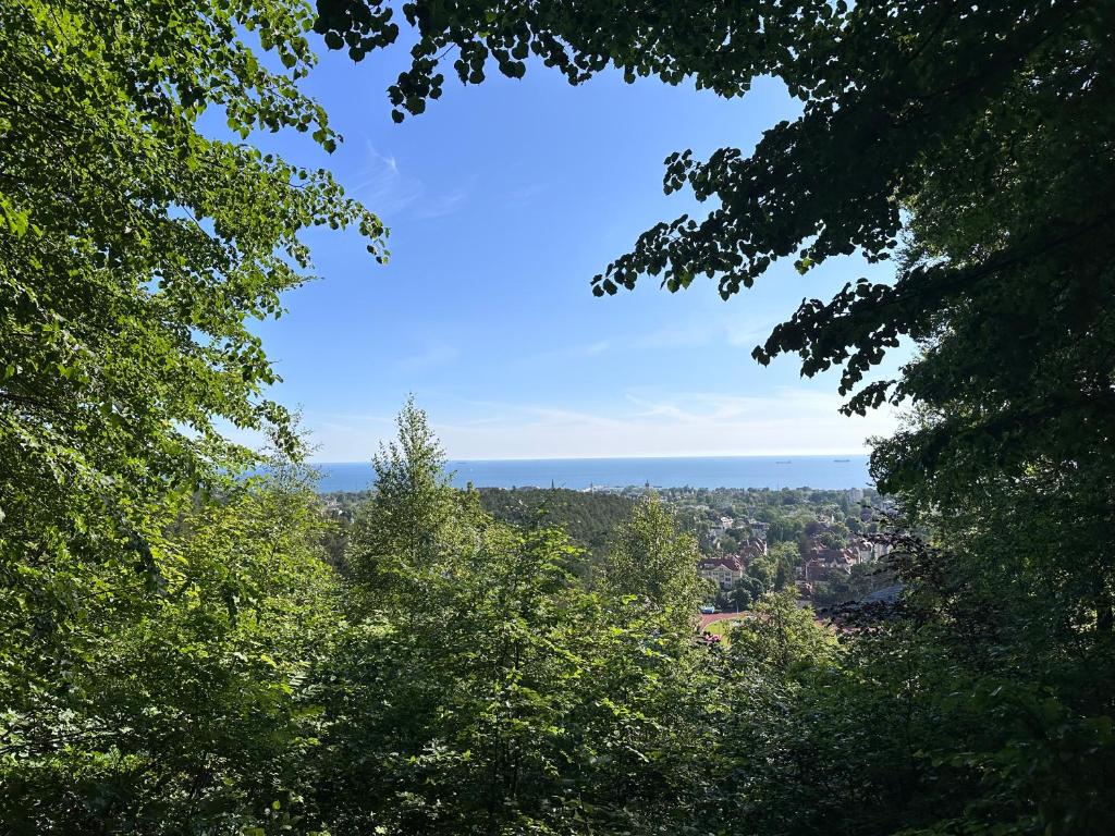 Príroda v okolí apartmánu