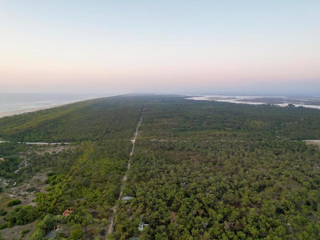 Φυσικό τοπίο κοντά σε αυτό το διαμέρισμα