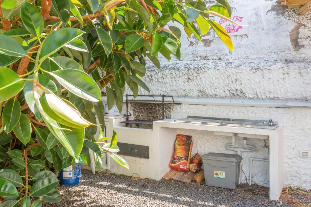 A garden outside Apartment Fantastico 2
