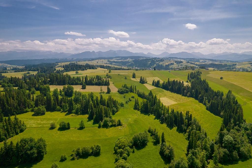 Príroda v okolí apartmánu
