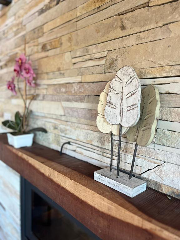 Fotografie z fotogalerie ubytování ALIWEN v destinaci Villa La Angostura