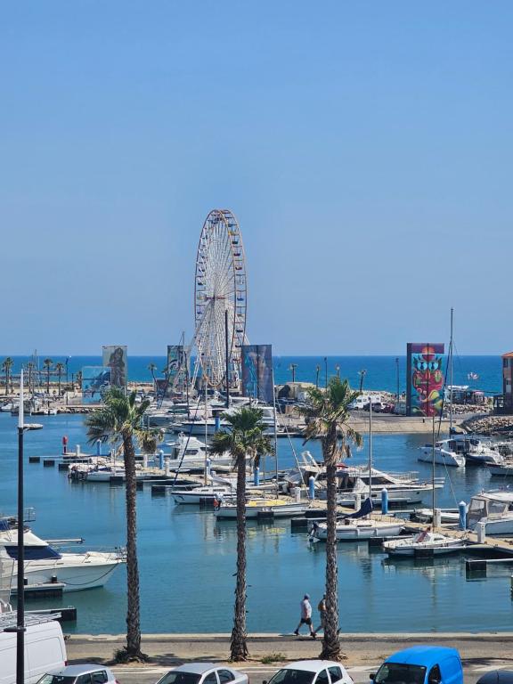 un port de plaisance avec une grande roue et des palmiers dans l'établissement Port Pêche 4 Pers Terrasse vue mer Parking privé, au Barcarès