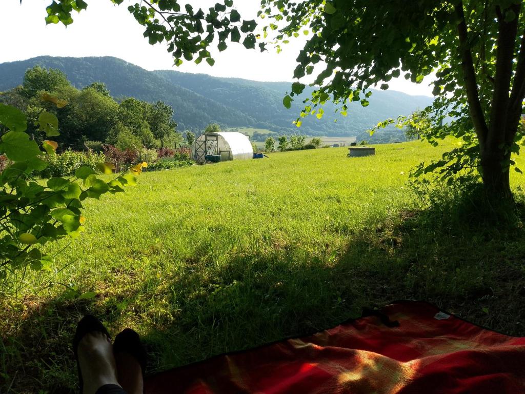 Príroda v okolí privátu