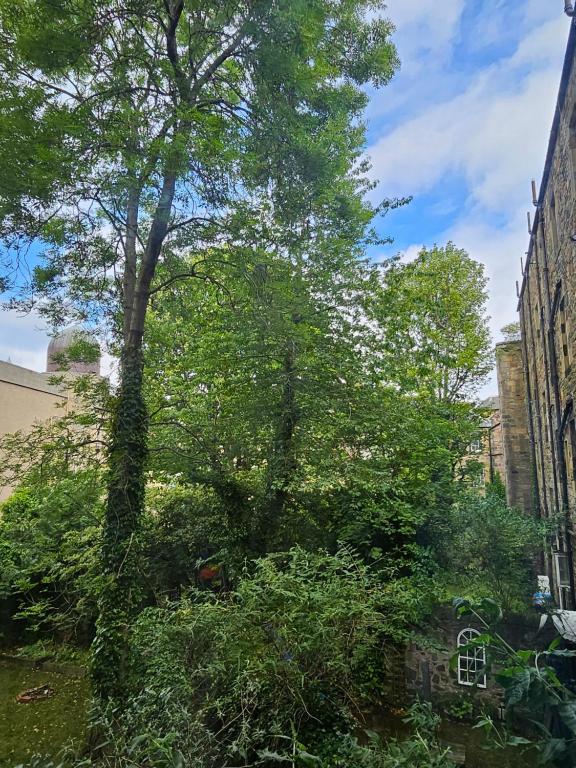 Zahrada ubytování Urban Oasis