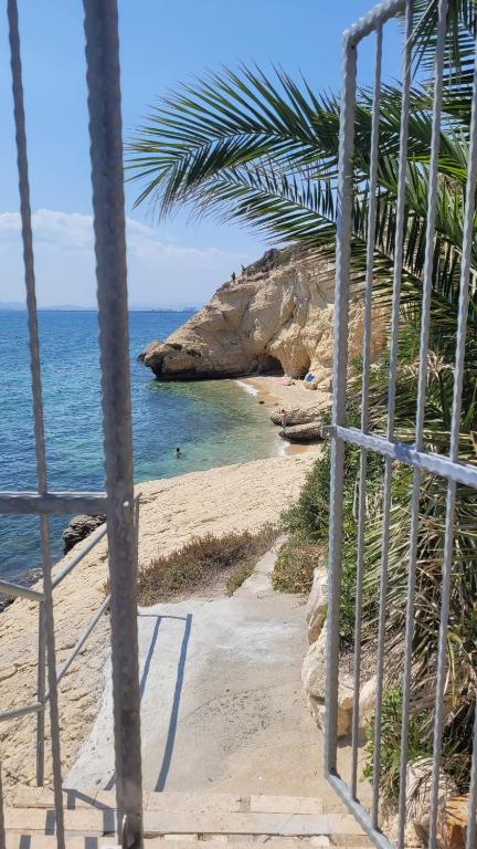 a view of a beach with a palm tree and the ocean at Villa Rosa in SantʼElia