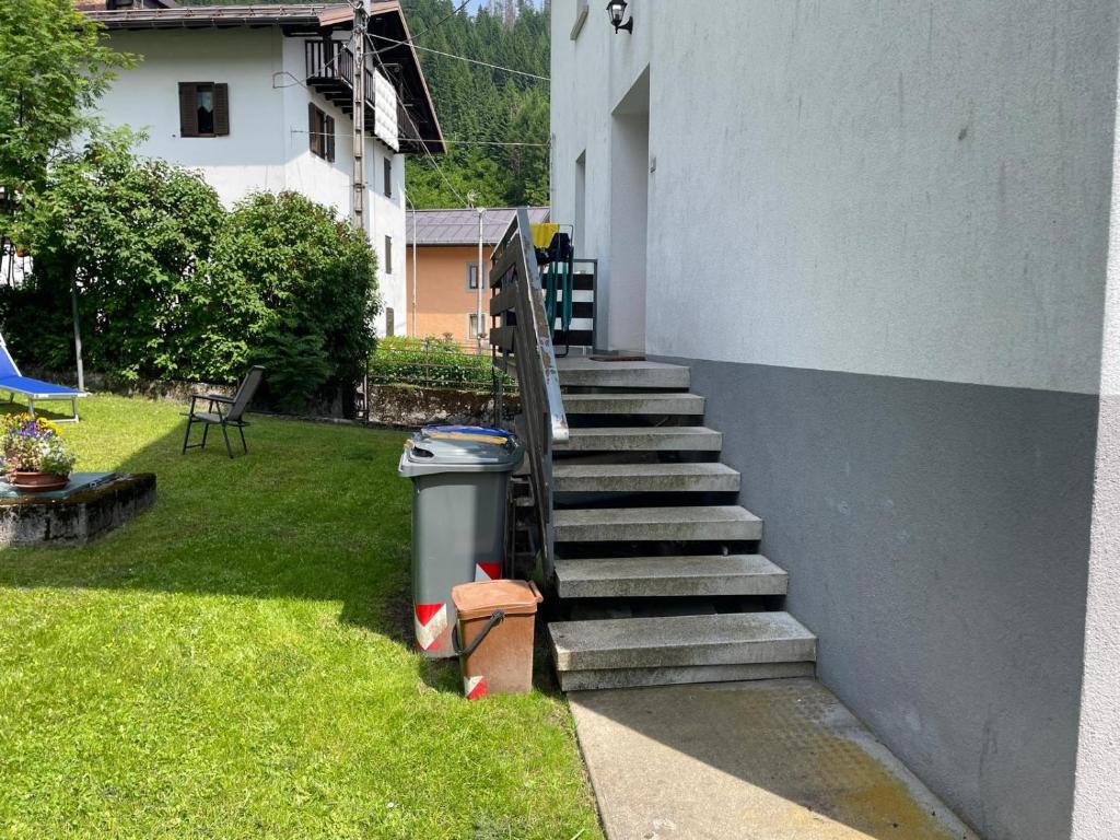 Zahrada ubytování SUITE DOLOMITI Appartamento