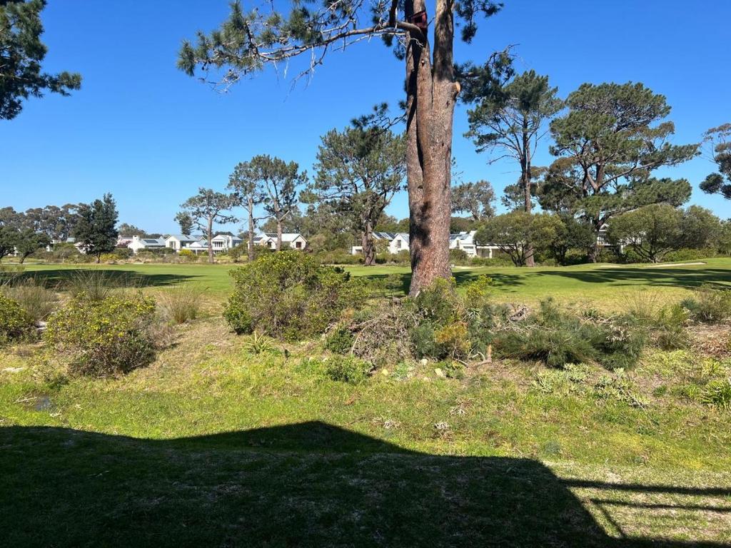 a shadow of a tree on a golf course at Golfers paradise on 25th green in Hermanus