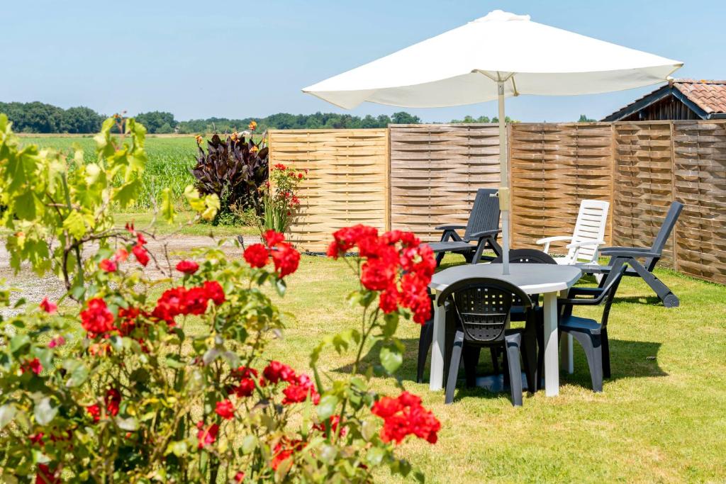 une table et des chaises dans un jardin orné de roses rouges dans l'établissement Gîte des deux chênes, à Mimbaste