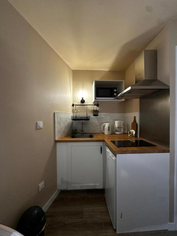 a small kitchen with a sink and a microwave at Studio 5 Aux volets bleus in Aulus-les-Bains