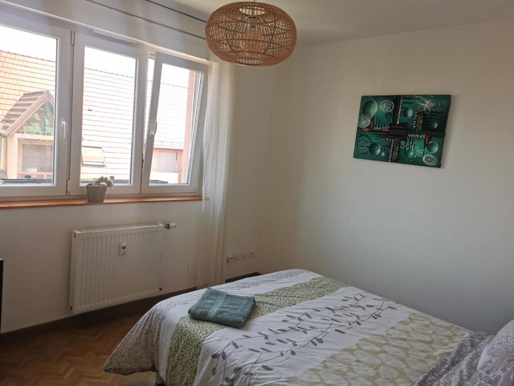 Logement Colmar centre avec Parking – photo 44