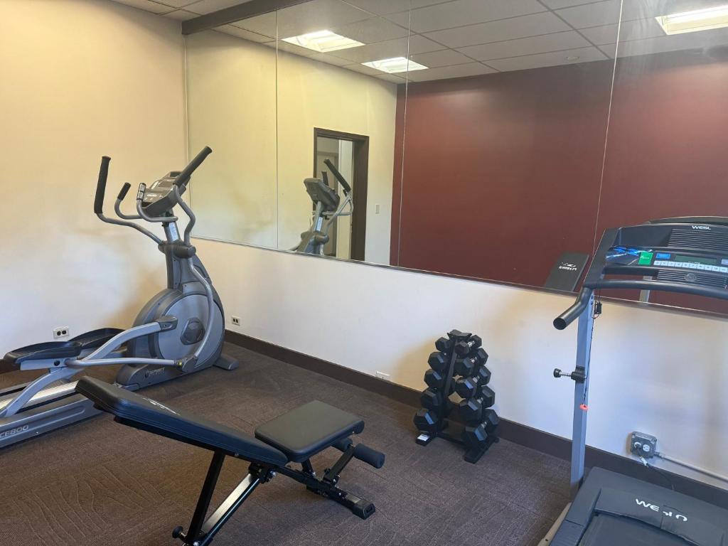 Fitness centrum a/nebo fitness zařízení v ubytování Red Roof Inn Seattle Airport - SEATAC