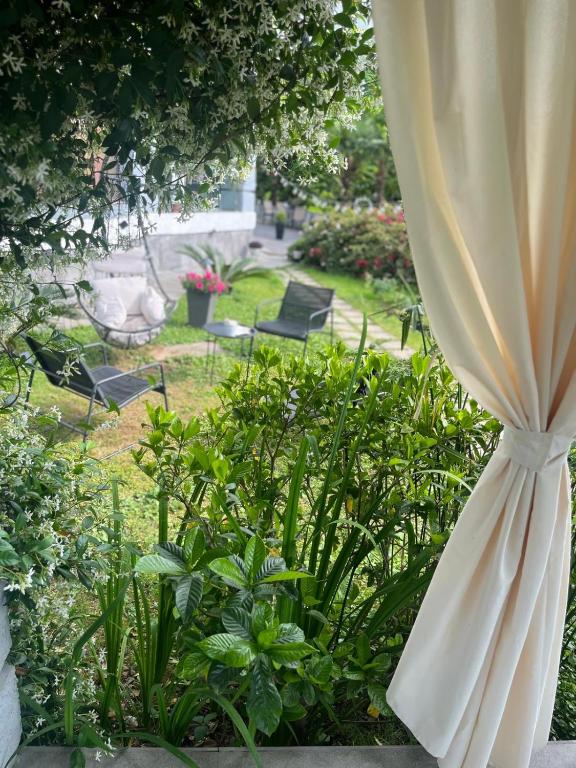 Κήπος έξω από το Guest House Botanical Paradise