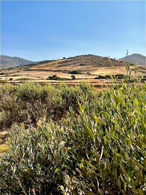 Φυσικό τοπίο κοντά σε αυτό το διαμέρισμα