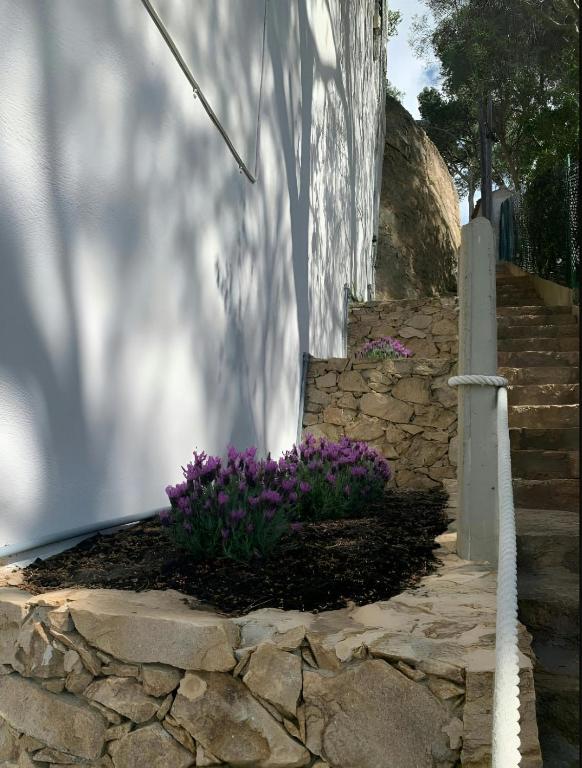 Vonkajšia záhrada v ubytovaní T2 · Sunny duplex with garden 50m from beach