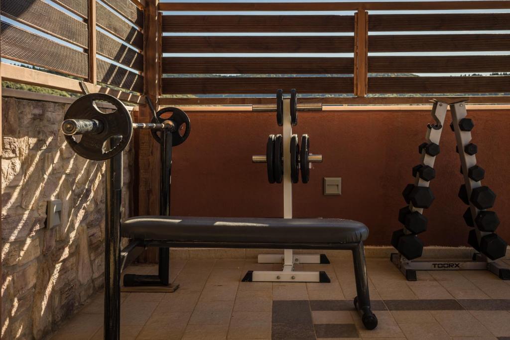 Fitness centrum a/nebo fitness zařízení v ubytování Entheos Private Villa Fiskardo Kefalonia Greece
