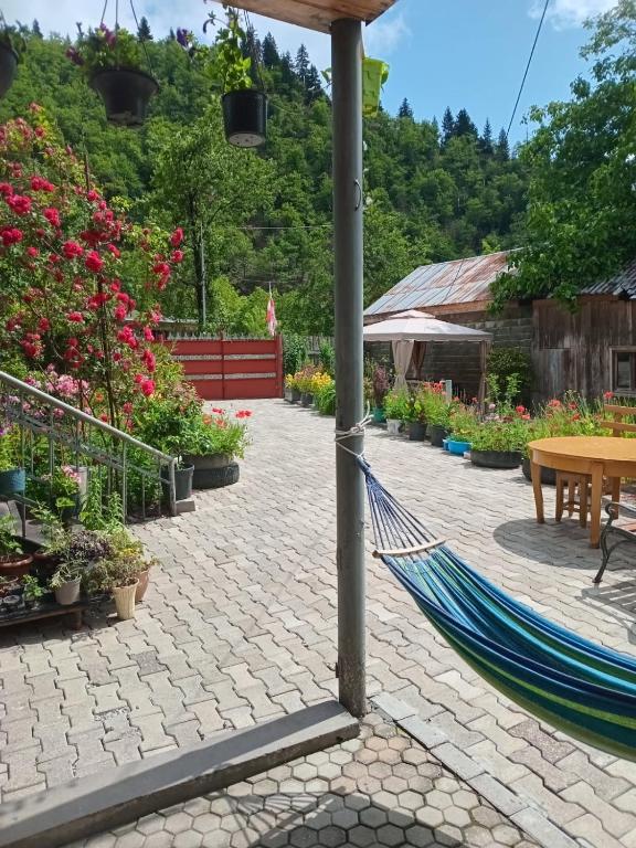 Zahrada ubytování Guesthouse Sumaisha
