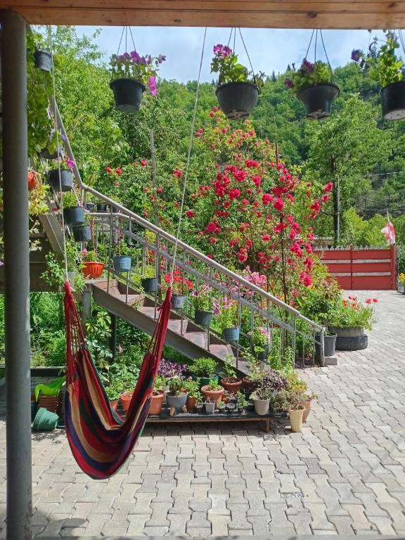 Zahrada ubytování Guesthouse Sumaisha