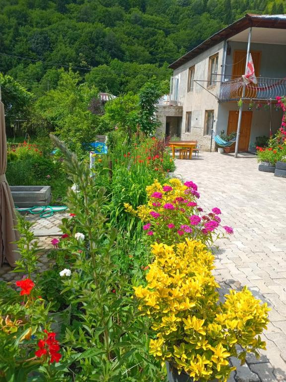 Zahrada ubytování Guesthouse Sumaisha