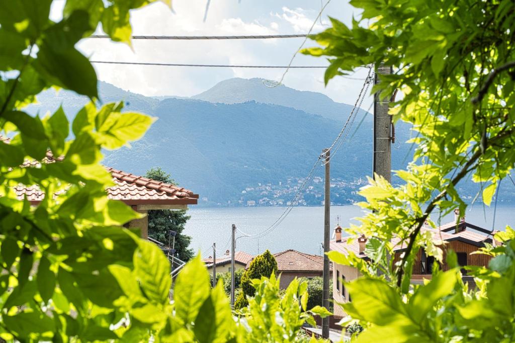 a view of a mountain and a body of water at Villa Pini Balbiani - Appartamento Pini in Lierna