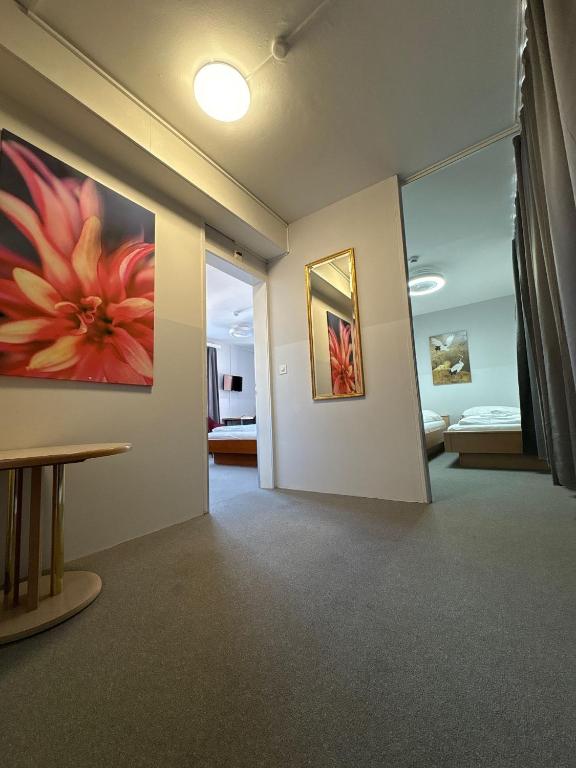 Fotografie z fotogalerie ubytování Hotel Rheinfall v destinaci Neuhausen am Rheinfall