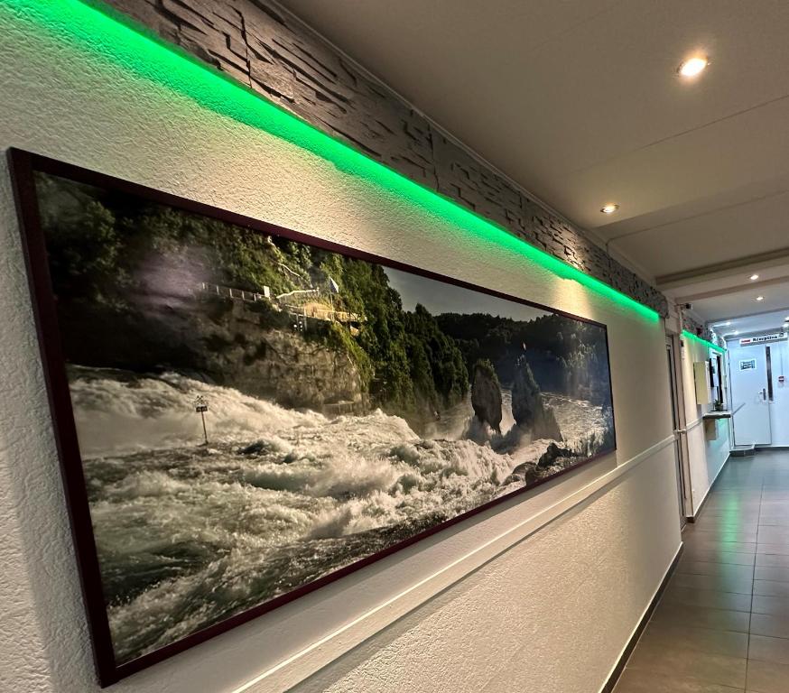 Fotografie z fotogalerie ubytování Hotel Rheinfall v destinaci Neuhausen am Rheinfall