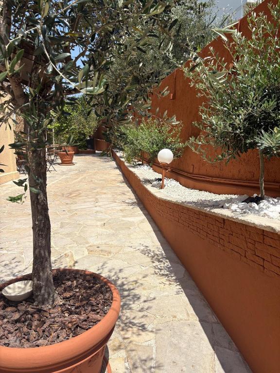 Hôtel Gallia Cannes - Resim 17