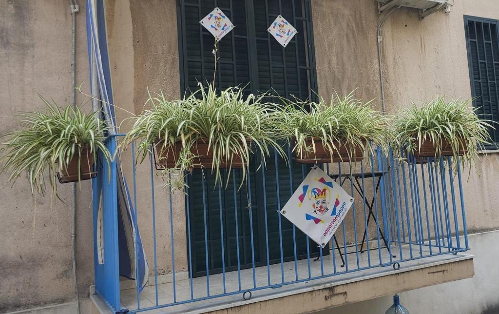 Fotografia z galérie ubytovania Appartampeppe v destinácii Acireale