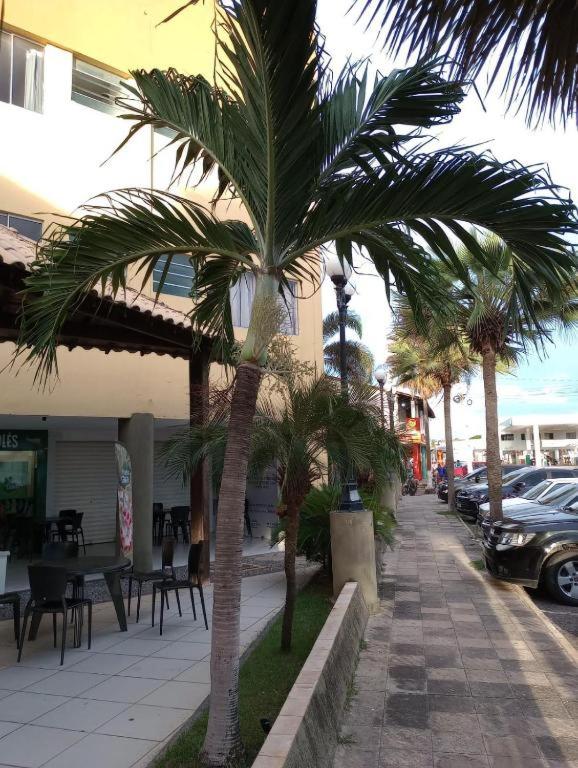 una palma su un marciapiede accanto a un edificio di Flat 262 Shopping Mall Amarração a Luis Correia