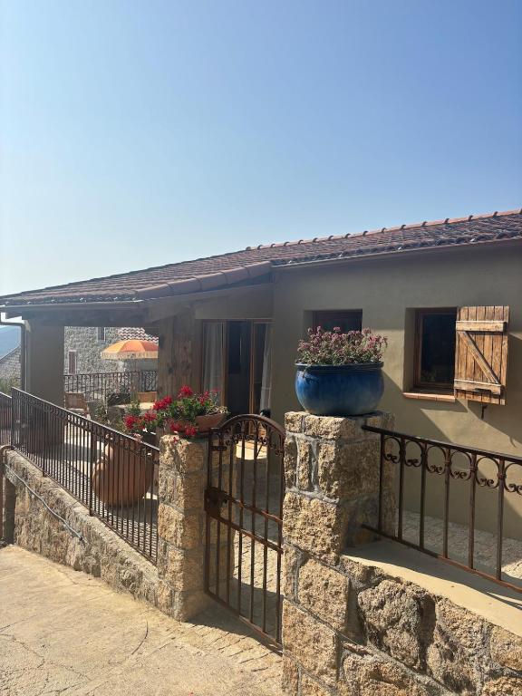 Casa Pitrina