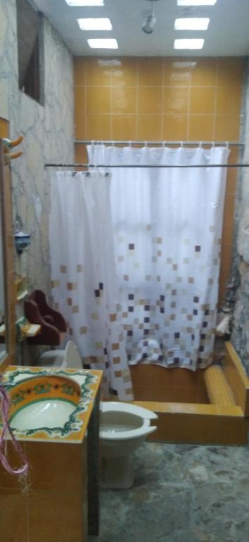 ein Badezimmer mit Toilette und Duschvorhang in der Unterkunft Tranquilidad in San Cristóbal de las Casas