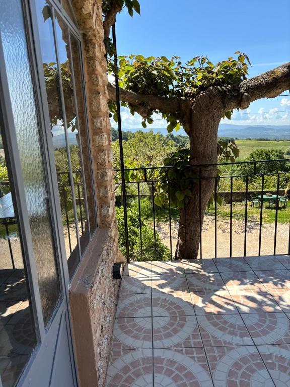 une porte ouverte menant à une terrasse couverte avec un arbre dans l'établissement Maison sur la Route du Mont Ventoux, à Bédoin