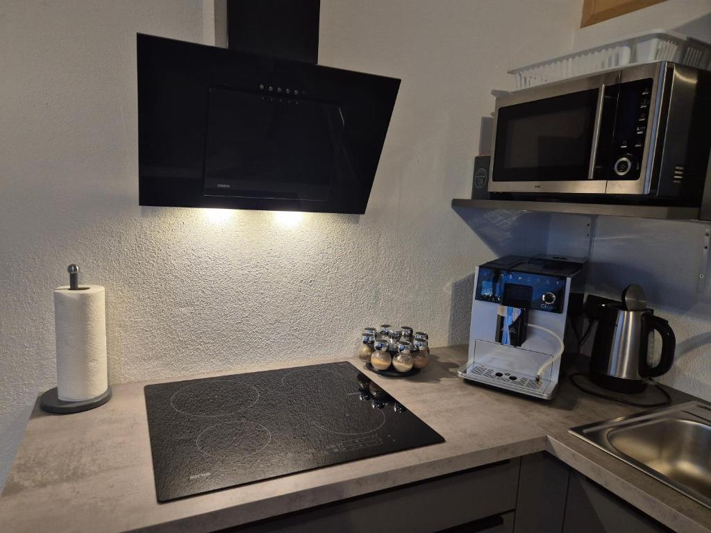 Kuchyň nebo kuchyňský kout v ubytování Appartement Alpina Zillertal