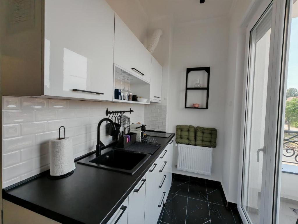 Kuchyň nebo kuchyňský kout v ubytování Apartman Rakanović