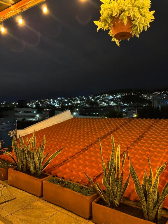 Fotografie z fotogalerie ubytování HOTEL COMFORT- Inn v destinaci Quito