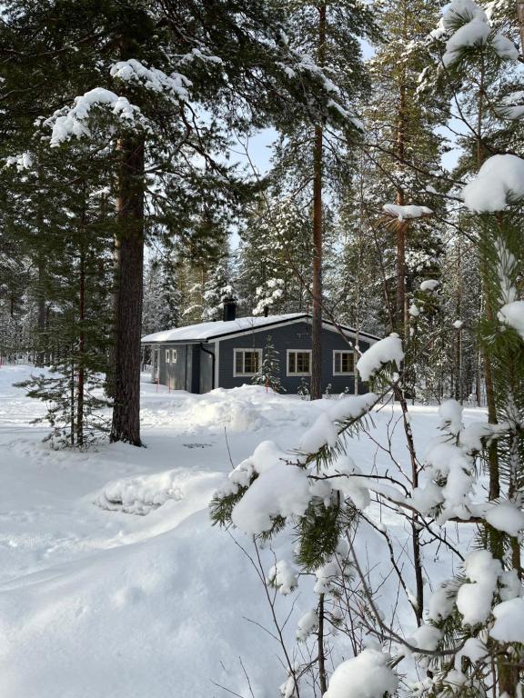 una cabaña en el bosque en la nieve en Riekonsoppi, two bedroom private cabin, en Pyhätunturi