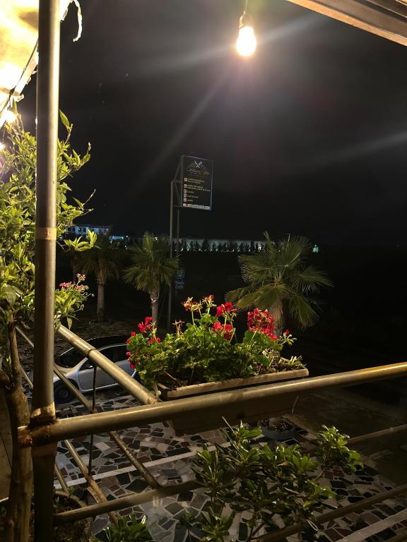 Zahrada ubytování Restorant and Rooms Vellezerit Ndoj
