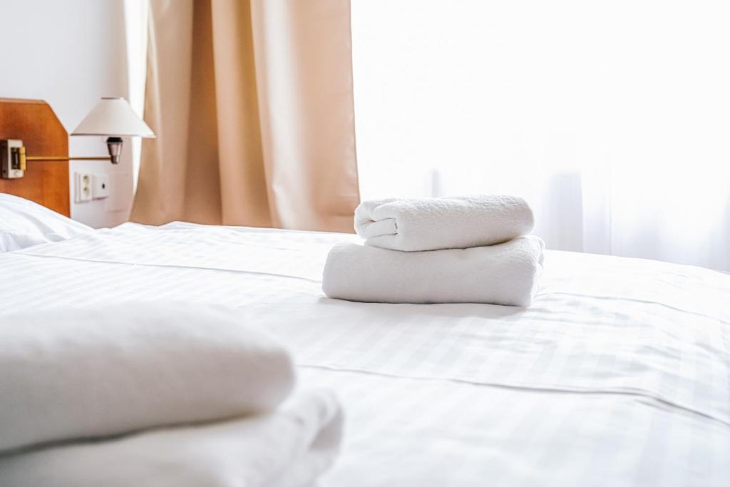 Postel nebo postele na pokoji v ubytování Hotel Šipka