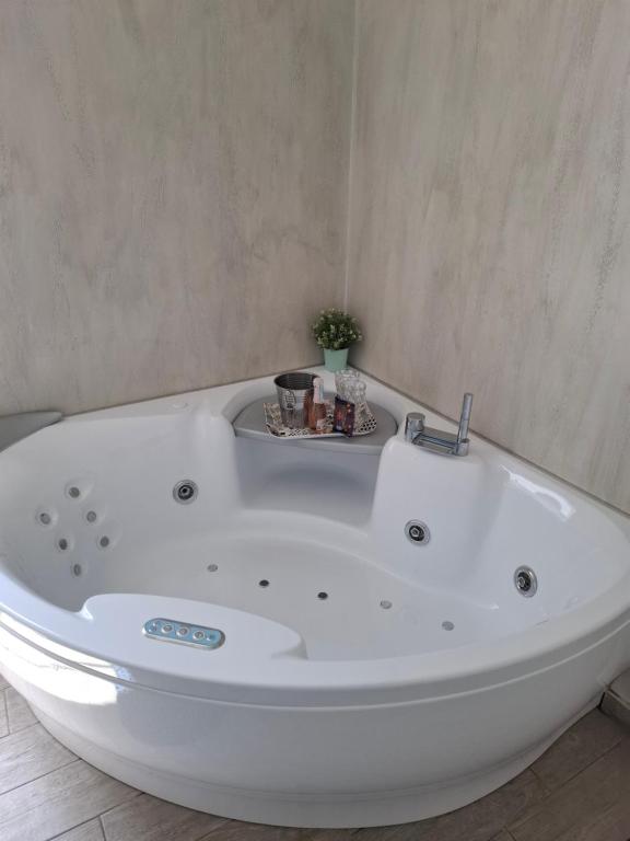 The Secret Garden - 12