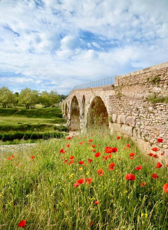un champ de fleurs rouges devant un pont de pierre dans l'établissement La grange du Luberon, à Bonnieux