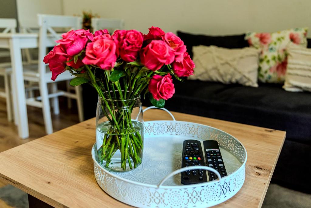 Apartament na Okrężnej - Appartamento Con 1 Camera Da Letto