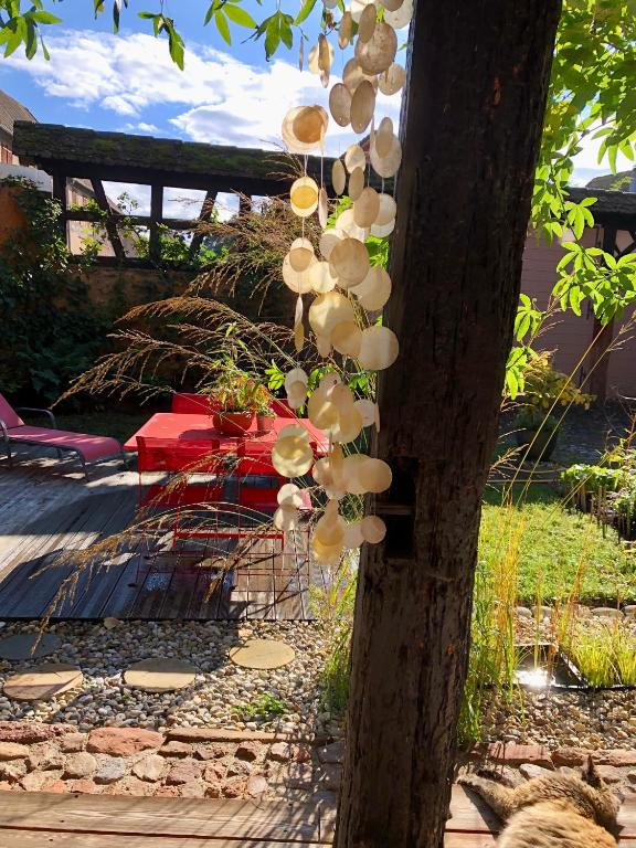 Zahrada ubytování B&B Le Lodge