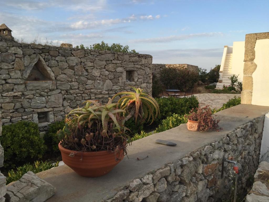 Fotografie z fotogalerie ubytování Villa Lemonia - Guest House v destinaci Aroniadhiánika